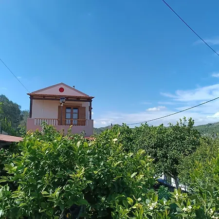 Traditional Thea Rhodes Vati