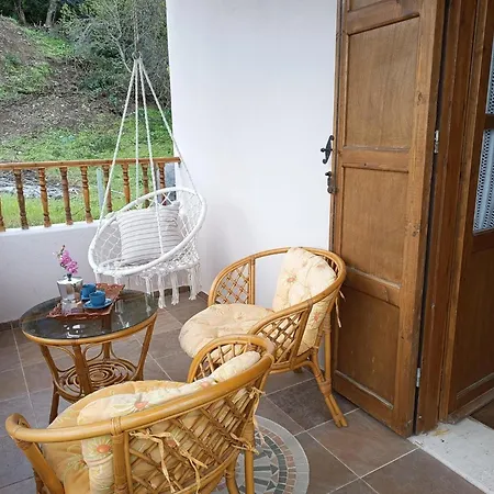 Traditional Thea Rhodes *