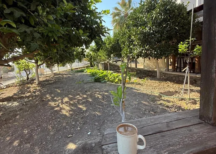 公寓 Traditional Thea Rhodes