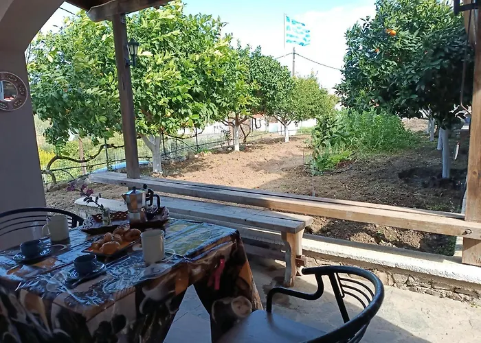 Traditional Thea Rhodes *