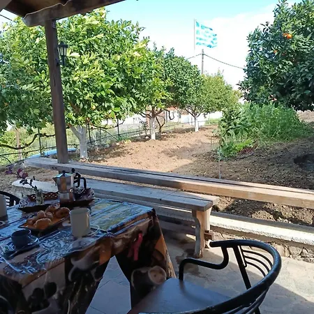 Traditional Thea Rhodes *