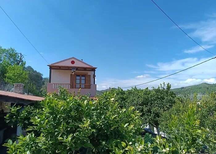 Traditional Thea Rhodes Vati