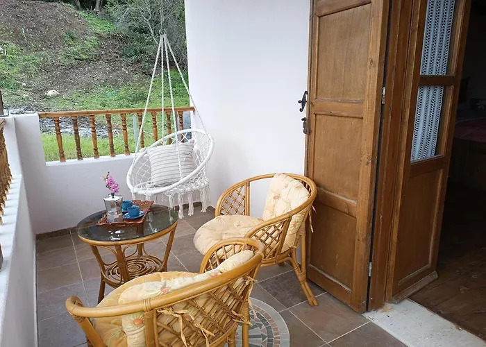 Traditional Thea Rhodes *